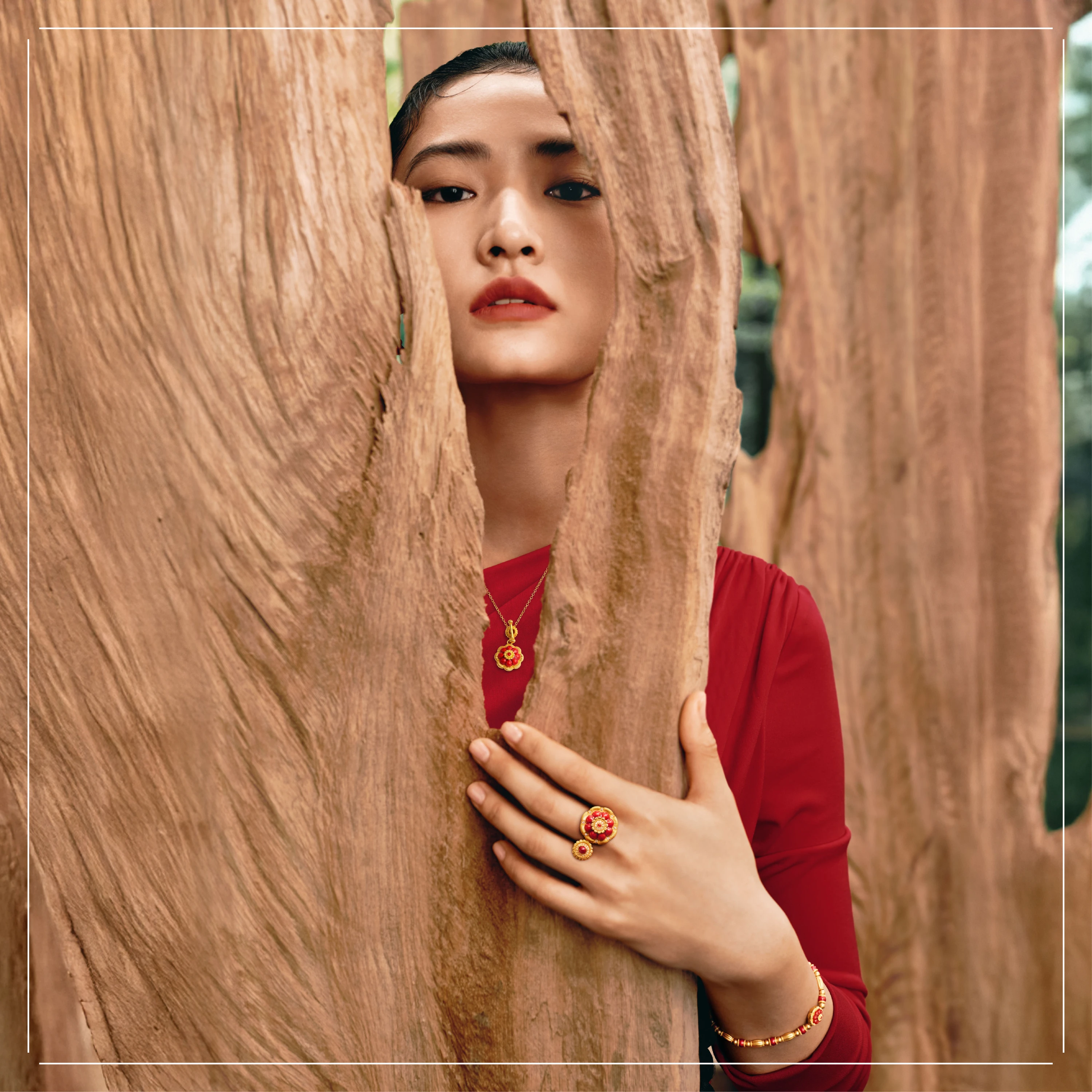 202412_Cropped Image-02.webp